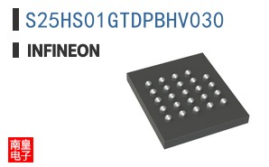 S25HS01GTDPBHV030