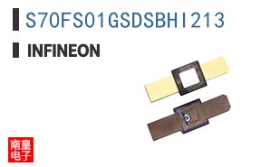 S70FS01GSDSBHI213